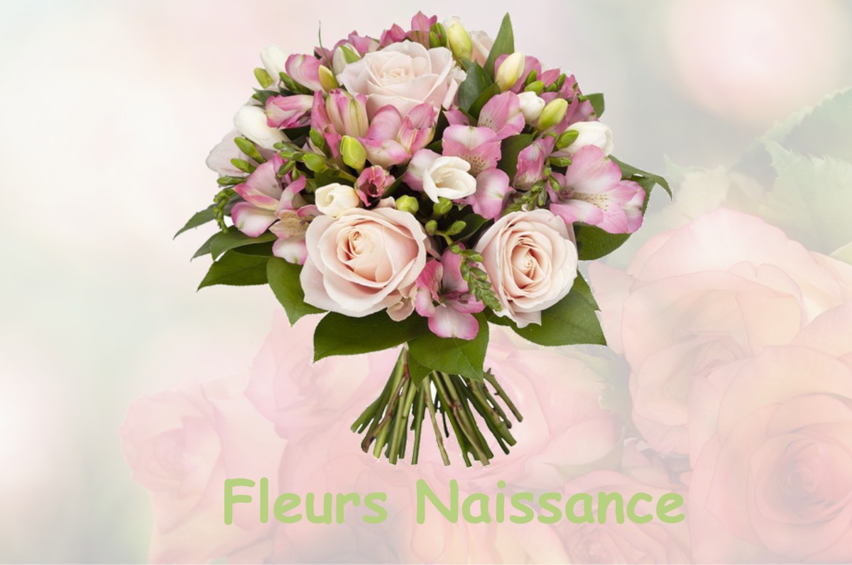 fleurs naissance VENDENESSE-SUR-ARROUX